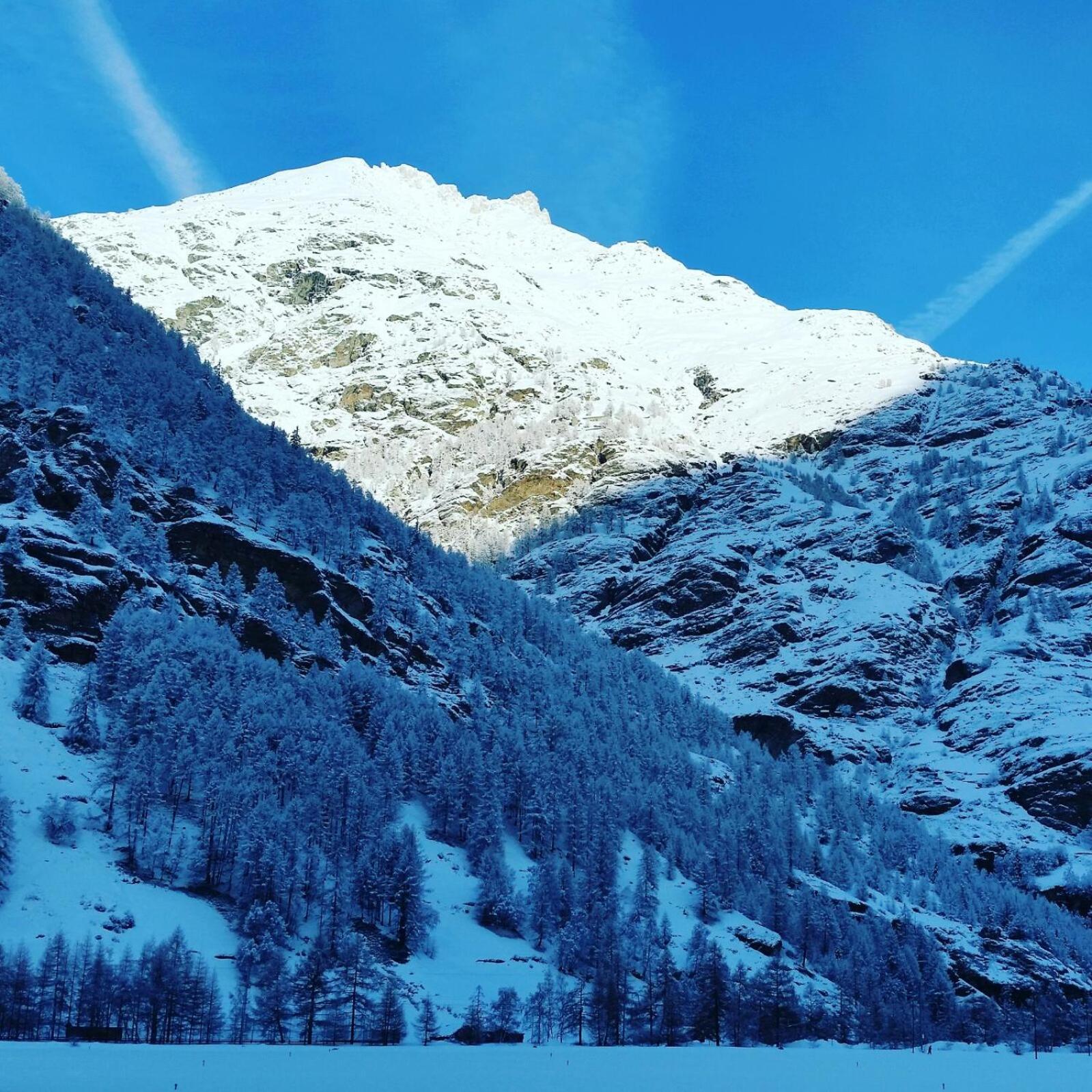 Monte Rosa Taesch, Apartments Mit Wellness Bereich ภายนอก รูปภาพ